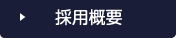 採用概要
